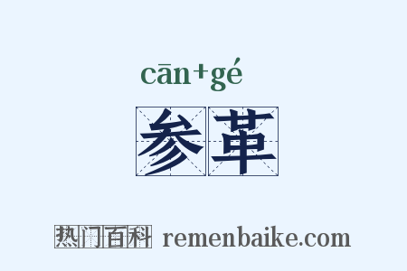 参革是什么意思的图片